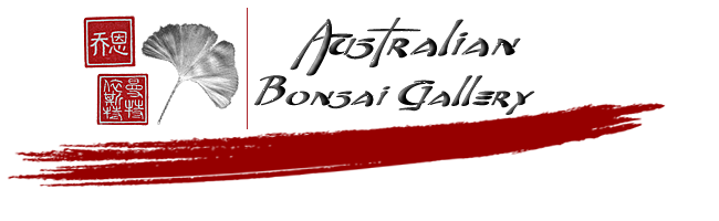 Australian Bonsai Gallery