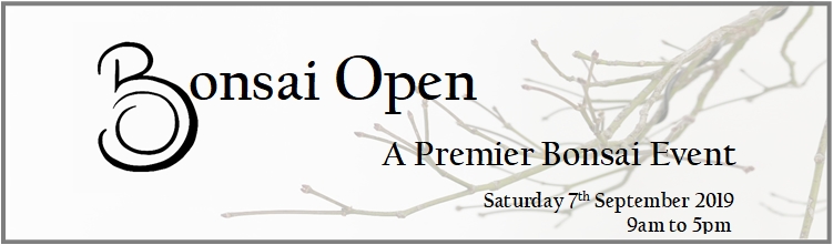 Bonsai Open Logo