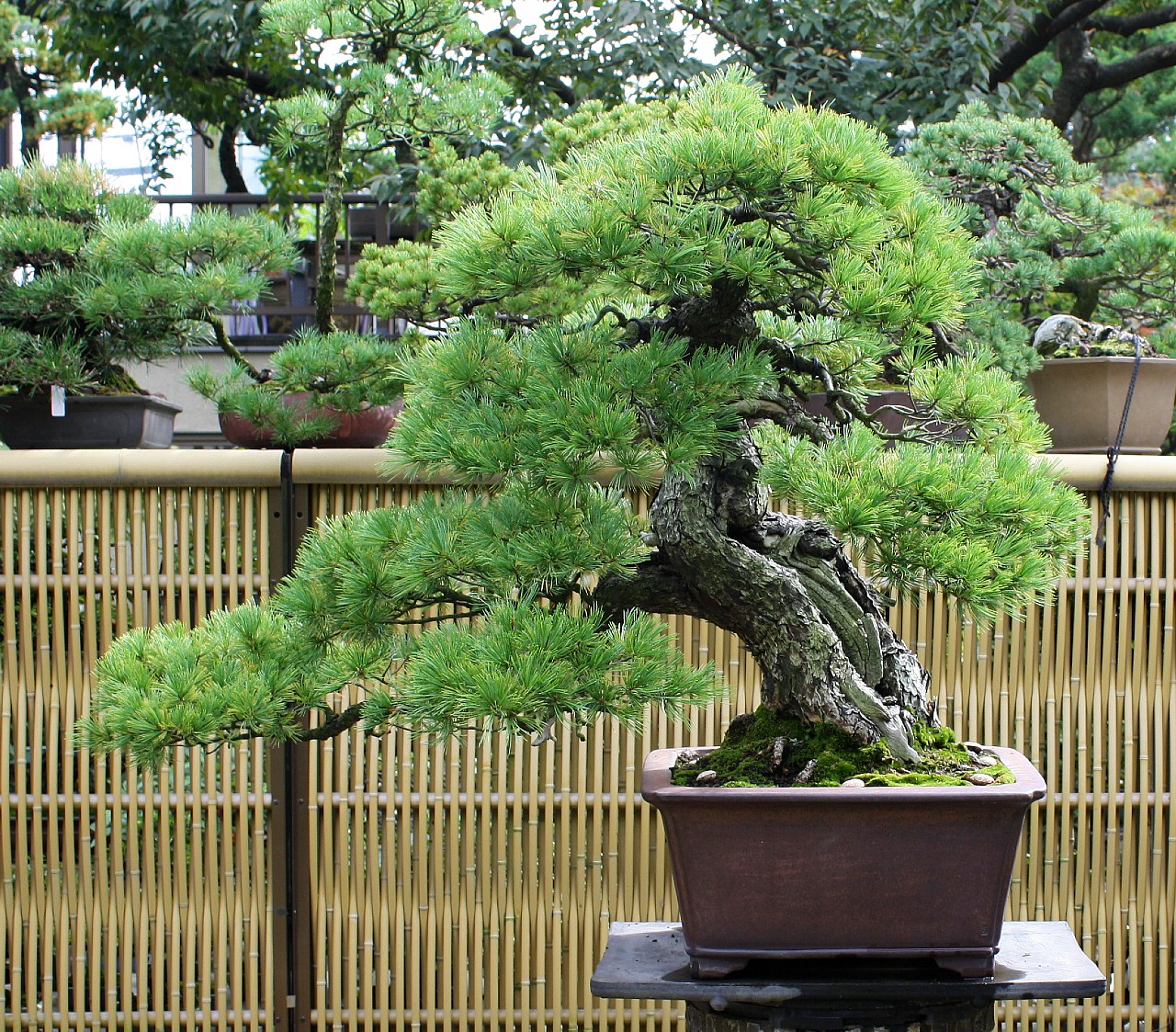 yamada 06ab
